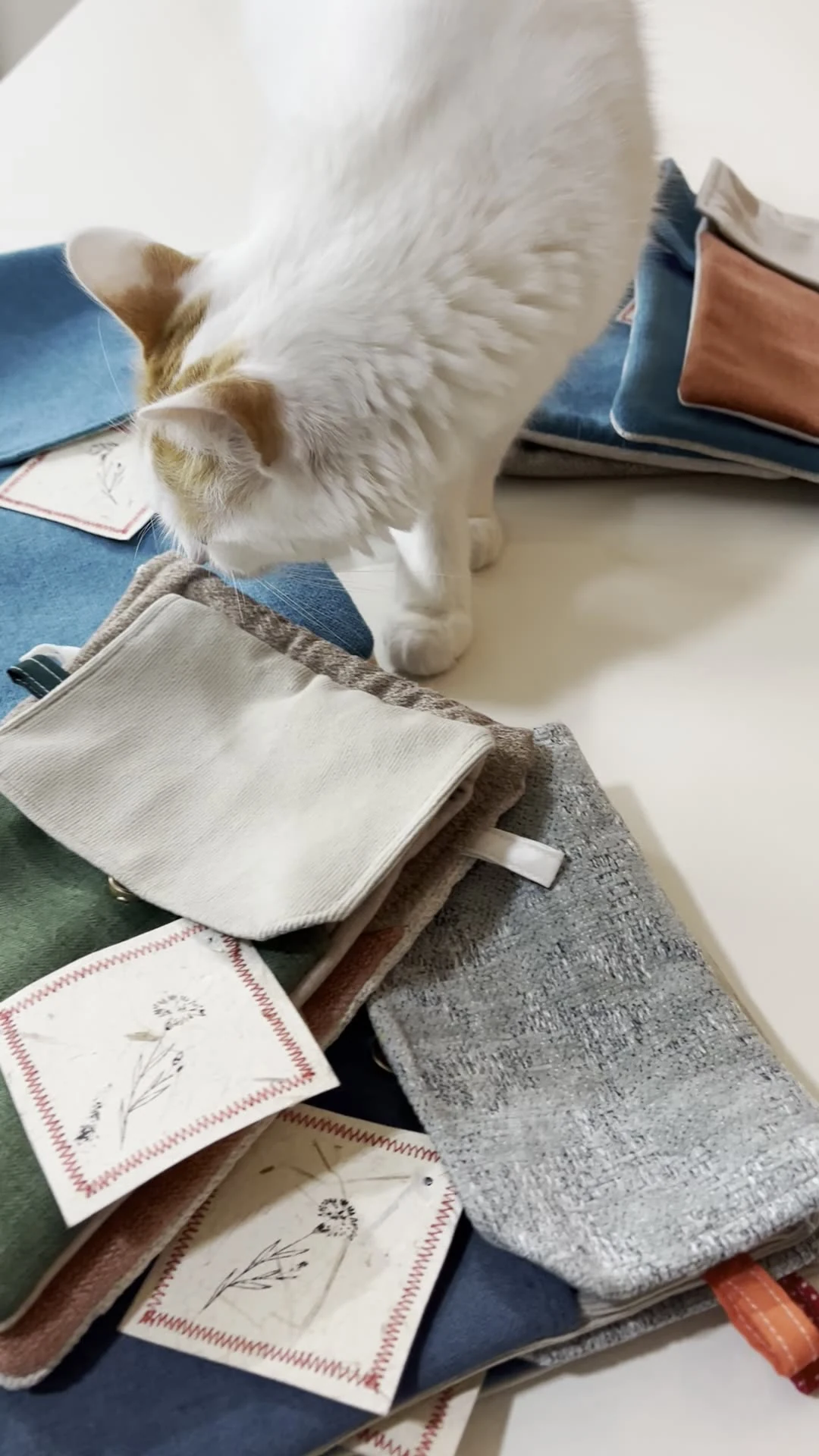 Uno de los gatos del atelier olfatea productos de varios colores y etiquetas Gatelier sobre la mesa de trabajo